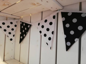 Black and White spot bunting